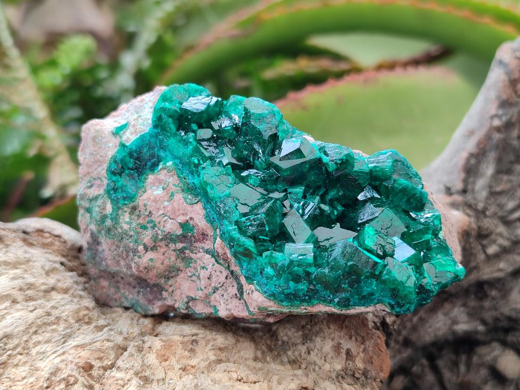 Natural Dioptase on Dolomite Specimens Some with Chrysocolla x 6 From Likasi, Congo - Toprock Gemstones and Minerals 