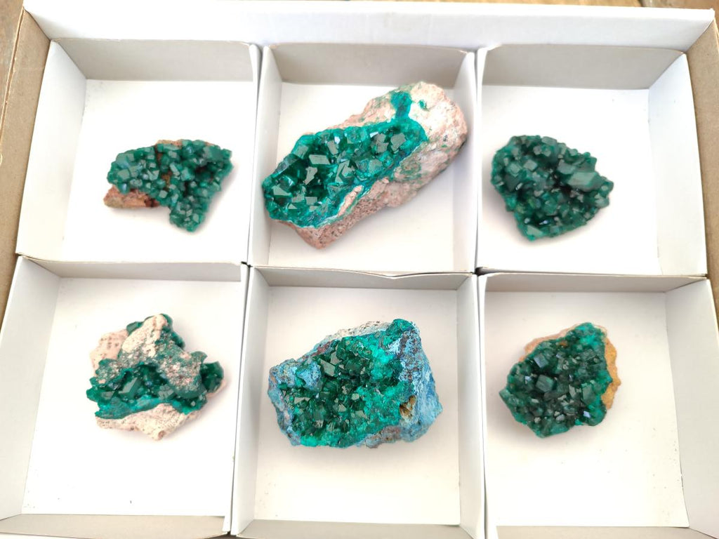 Natural Dioptase on Dolomite Specimens Some with Chrysocolla x 6 From Likasi, Congo - Toprock Gemstones and Minerals 