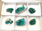 Natural Dioptase on Dolomite Specimens Some with Chrysocolla x 6 From Likasi, Congo - Toprock Gemstones and Minerals 