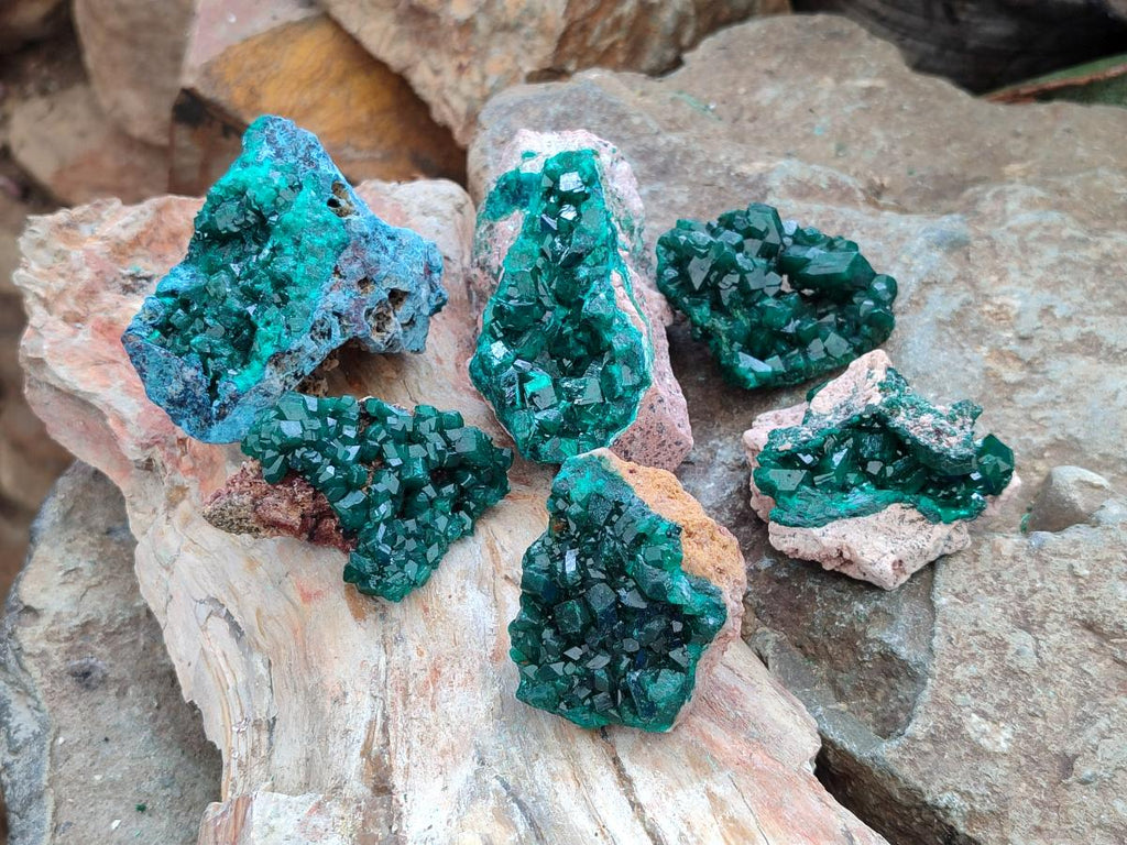 Natural Dioptase on Dolomite Specimens Some with Chrysocolla x 6 From Likasi, Congo - Toprock Gemstones and Minerals 