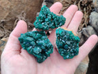 Natural Dioptase on Dolomite Specimens Some with Chrysocolla x 6 From Likasi, Congo - Toprock Gemstones and Minerals 
