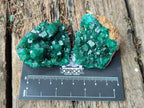 Natural Dioptase on Dolomite Specimens Some with Chrysocolla x 6 From Likasi, Congo - Toprock Gemstones and Minerals 