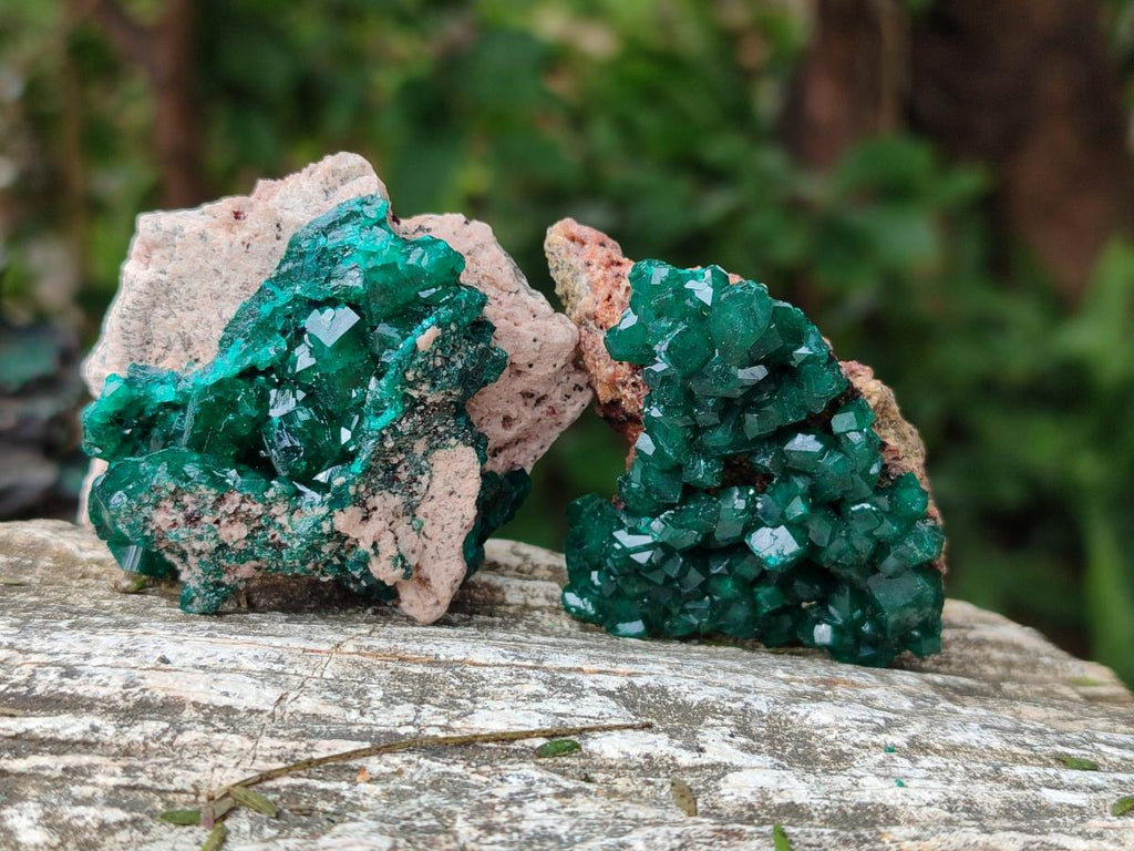 Natural Dioptase on Dolomite Specimens Some with Chrysocolla x 6 From Likasi, Congo - Toprock Gemstones and Minerals 