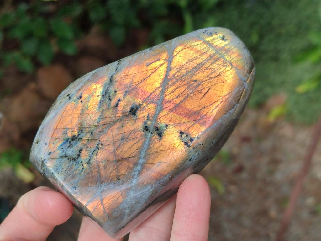 Polished Rare Purple Sunset Flash Labradorite Standing Display Pieces x 4 From Madagascar - Toprock Gemstones and Minerals 