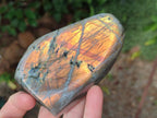 Polished Rare Purple Sunset Flash Labradorite Standing Display Pieces x 4 From Madagascar - Toprock Gemstones and Minerals 