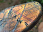 Polished Rare Purple Sunset Flash Labradorite Standing Display Pieces x 4 From Madagascar - Toprock Gemstones and Minerals 
