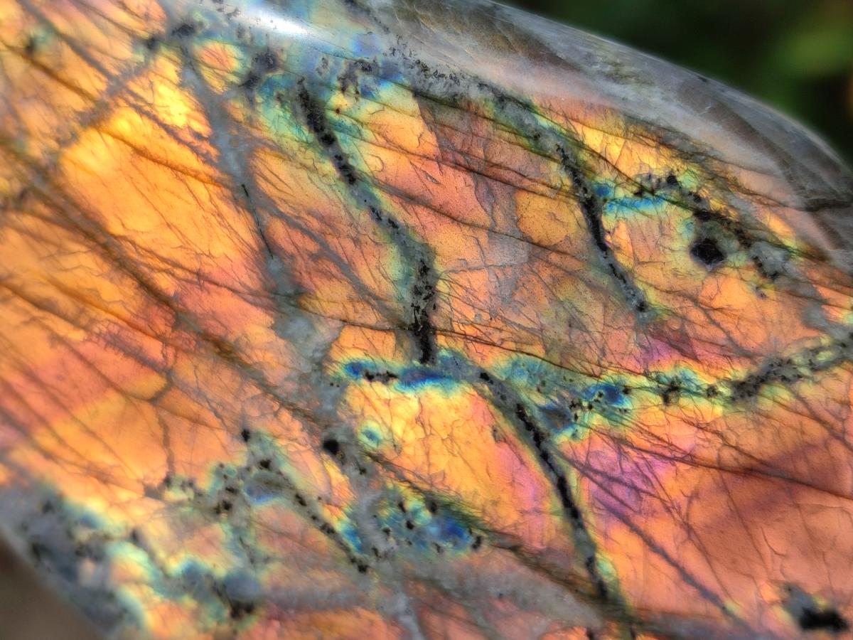 Polished Rare Purple Sunset Flash Labradorite Standing Display Pieces x 4 From Madagascar - Toprock Gemstones and Minerals 