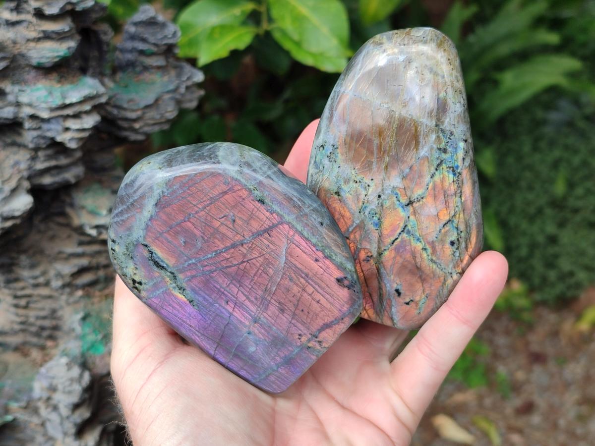 Polished Rare Purple Sunset Flash Labradorite Standing Display Pieces x 4 From Madagascar - Toprock Gemstones and Minerals 