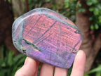 Polished Rare Purple Sunset Flash Labradorite Standing Display Pieces x 4 From Madagascar - Toprock Gemstones and Minerals 
