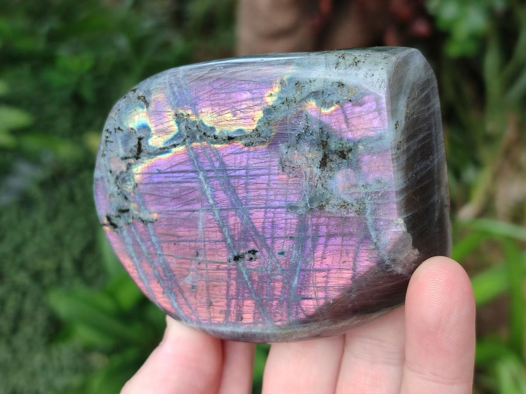 Polished Rare Purple Sunset Flash Labradorite Standing Display Pieces x 4 From Madagascar - Toprock Gemstones and Minerals 