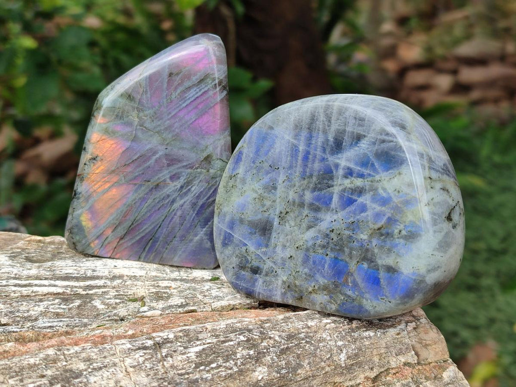 Polished Rare Purple Sunset Flash Labradorite Standing Display Pieces x 4 From Madagascar - Toprock Gemstones and Minerals 