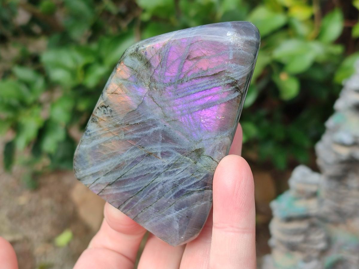 Polished Rare Purple Sunset Flash Labradorite Standing Display Pieces x 4 From Madagascar - Toprock Gemstones and Minerals 