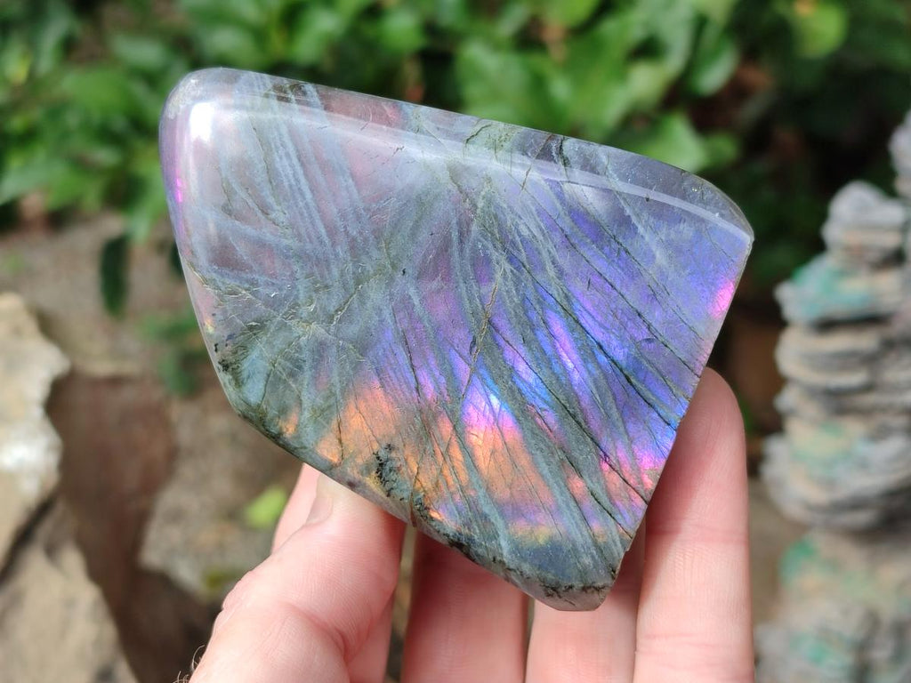 Polished Rare Purple Sunset Flash Labradorite Standing Display Pieces x 4 From Madagascar - Toprock Gemstones and Minerals 