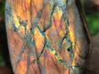 Polished Rare Purple Sunset Flash Labradorite Standing Display Pieces x 4 From Madagascar - Toprock Gemstones and Minerals 