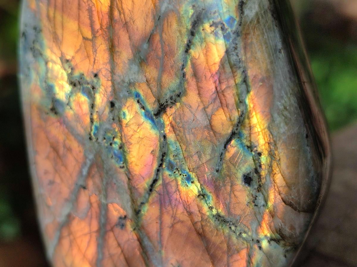 Polished Rare Purple Sunset Flash Labradorite Standing Display Pieces x 4 From Madagascar - Toprock Gemstones and Minerals 