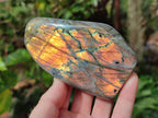 Polished Rare Purple Sunset Flash Labradorite Standing Display Pieces x 4 From Madagascar - Toprock Gemstones and Minerals 