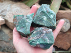 Natural Swazi Jade Cobbed Specimens x 12 From Swaziland - Toprock Gemstones and Minerals 