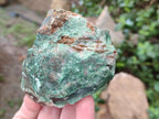 Natural Swazi Jade Cobbed Specimens x 12 From Swaziland - Toprock Gemstones and Minerals 