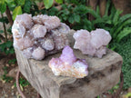 Natural Mixed Spirit Amethyst Clusters x 3 From Boekenhouthoek, South Africa - Toprock Gemstones and Minerals 