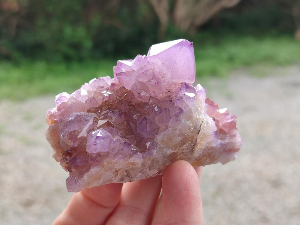 Natural Mixed Spirit Amethyst Clusters x 3 From Boekenhouthoek, South Africa - Toprock Gemstones and Minerals 