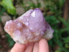 Natural Mixed Spirit Amethyst Clusters x 3 From Boekenhouthoek, South Africa - Toprock Gemstones and Minerals 