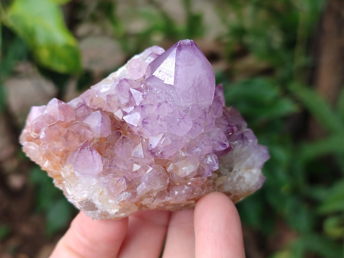Natural Mixed Spirit Amethyst Clusters x 3 From Boekenhouthoek, South Africa - Toprock Gemstones and Minerals 