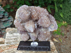 Natural Mixed Spirit Amethyst Clusters x 3 From Boekenhouthoek, South Africa - Toprock Gemstones and Minerals 