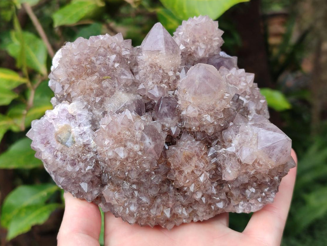 Natural Mixed Spirit Amethyst Clusters x 3 From Boekenhouthoek, South Africa - Toprock Gemstones and Minerals 