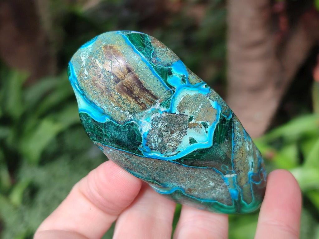 Polished Malacolla Free Forms x 12 From Kulukuluku, Congo - Toprock Gemstones and Minerals 
