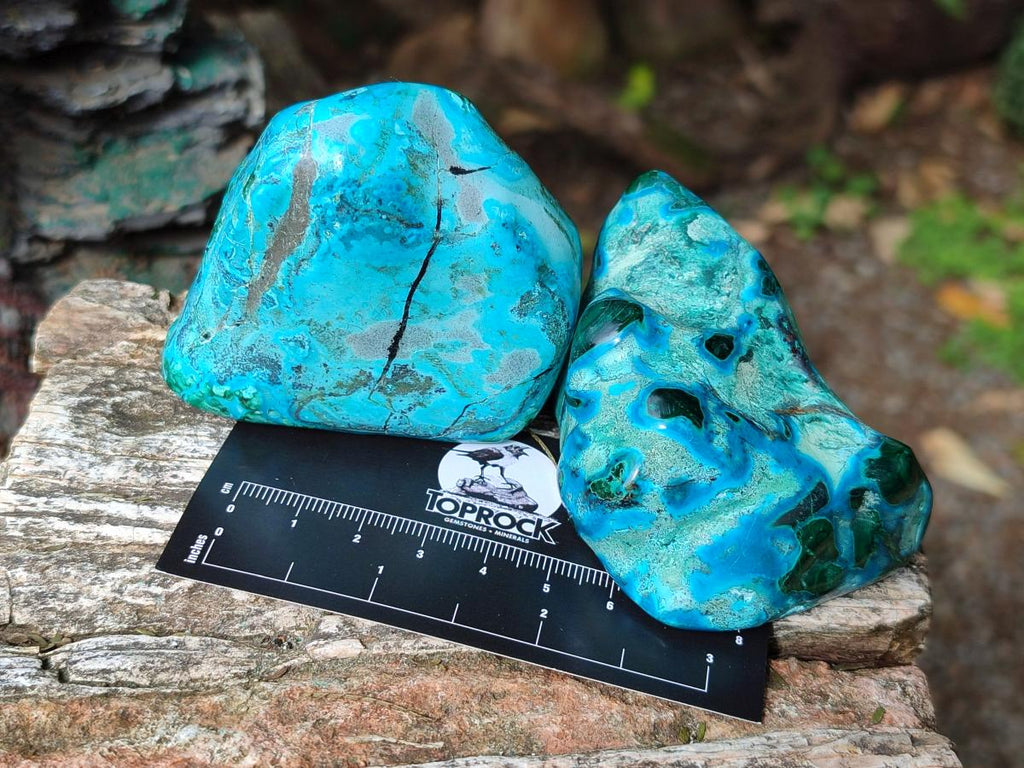 Polished Malacolla Free Forms x 12 From Kulukuluku, Congo - Toprock Gemstones and Minerals 