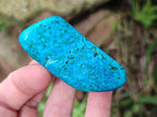 Polished Malacolla Free Forms x 12 From Kulukuluku, Congo - Toprock Gemstones and Minerals 