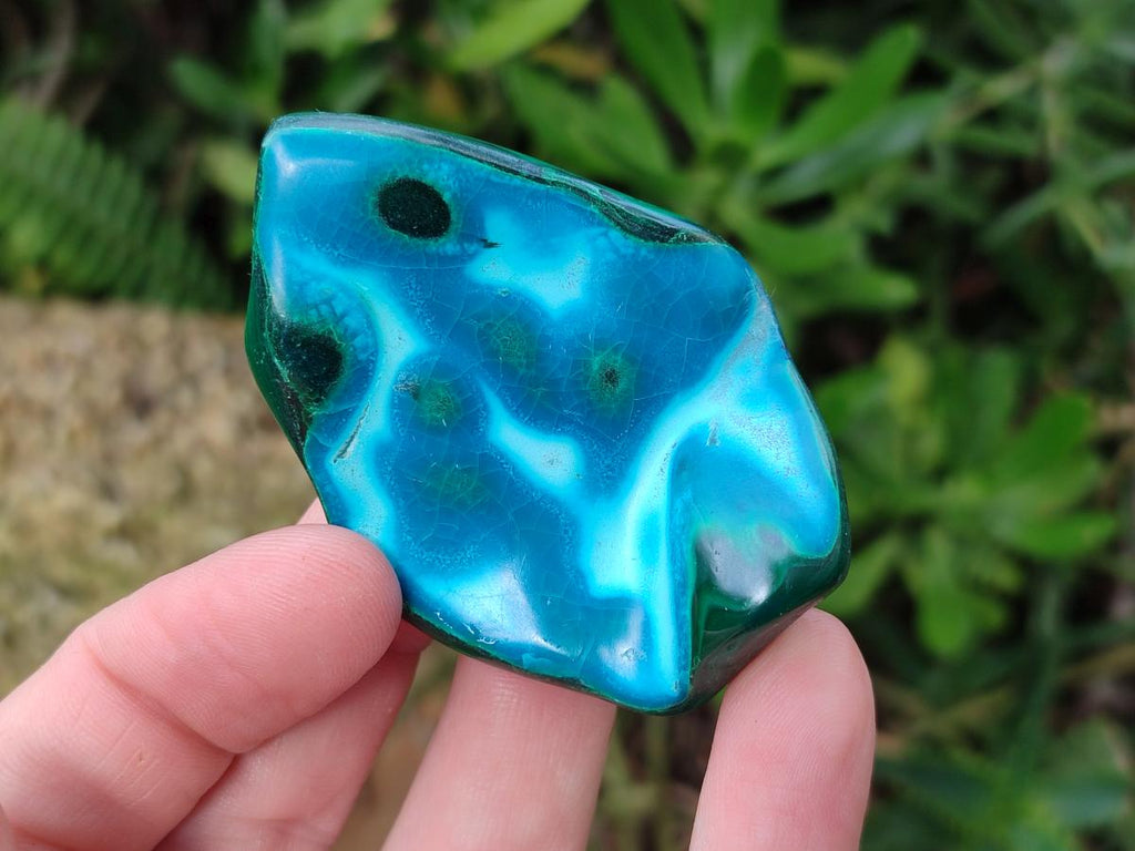 Polished Malacolla Free Forms x 12 From Kulukuluku, Congo - Toprock Gemstones and Minerals 