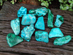 Polished Malacolla Free Forms x 12 From Kulukuluku, Congo - Toprock Gemstones and Minerals 