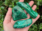 Polished Malacolla Free Forms x 12 From Kulukuluku, Congo - Toprock Gemstones and Minerals 
