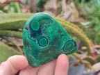 Polished Malacolla Free Forms x 12 From Kulukuluku, Congo - Toprock Gemstones and Minerals 