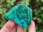 Polished Malacolla Free Forms x 12 From Kulukuluku, Congo - Toprock Gemstones and Minerals 
