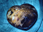 Polished Large Red Podocarpus Petrified Wood Hearts x 2 From Mahajanga, Madagascar - Toprock Gemstones and Minerals 