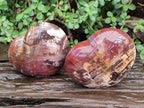Polished Large Red Podocarpus Petrified Wood Hearts x 2 From Mahajanga, Madagascar - Toprock Gemstones and Minerals 