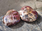 Polished Large Red Podocarpus Petrified Wood Hearts x 2 From Mahajanga, Madagascar - Toprock Gemstones and Minerals 
