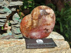 Polished Large Red Podocarpus Petrified Wood Hearts x 2 From Mahajanga, Madagascar - Toprock Gemstones and Minerals 