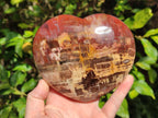 Polished Large Red Podocarpus Petrified Wood Hearts x 2 From Mahajanga, Madagascar - Toprock Gemstones and Minerals 
