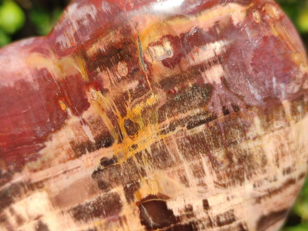 Polished Large Red Podocarpus Petrified Wood Hearts x 2 From Mahajanga, Madagascar - Toprock Gemstones and Minerals 