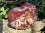 Polished Large Red Podocarpus Petrified Wood Hearts x 2 From Mahajanga, Madagascar - Toprock Gemstones and Minerals 