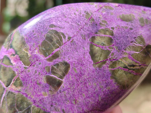 Polished Stichtite Standing Display Pieces x 3 From Barberton, South Africa - Toprock Gemstones and Minerals 
