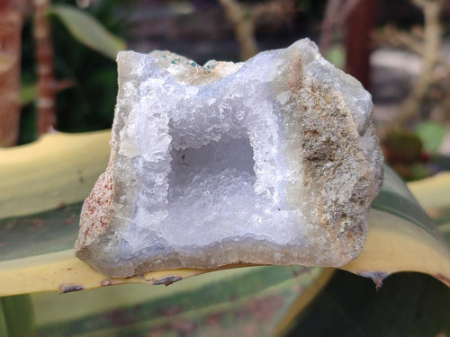 Natural Blue Lace Agate Geode Specimens x 24 From Nsanje, Malawi - Toprock Gemstones and Minerals 