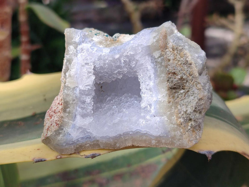 Natural Blue Lace Agate Geode Specimens x 24 From Nsanje, Malawi - Toprock Gemstones and Minerals 