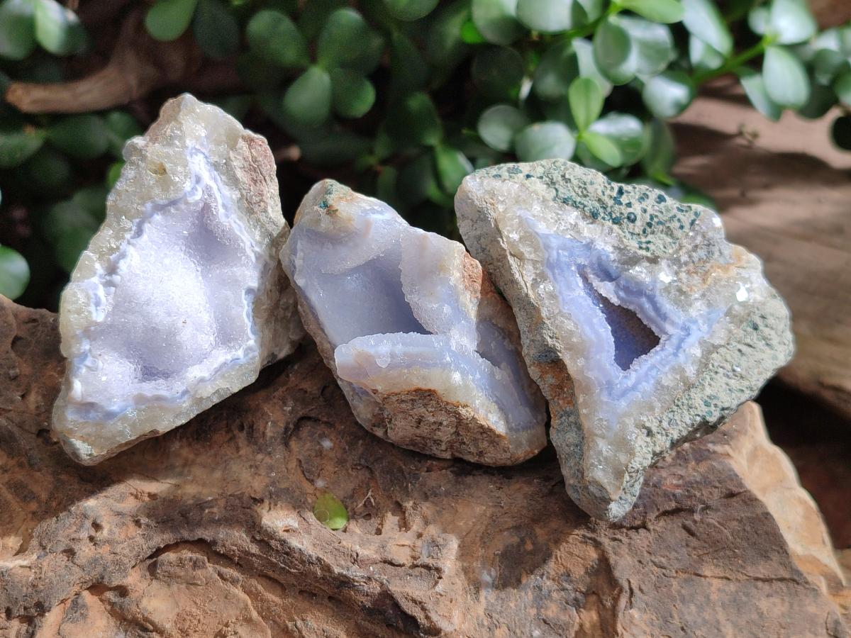 Natural Blue Lace Agate Geode Specimens x 24 From Nsanje, Malawi - Toprock Gemstones and Minerals 