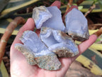 Natural Blue Lace Agate Geode Specimens x 24 From Nsanje, Malawi - Toprock Gemstones and Minerals 