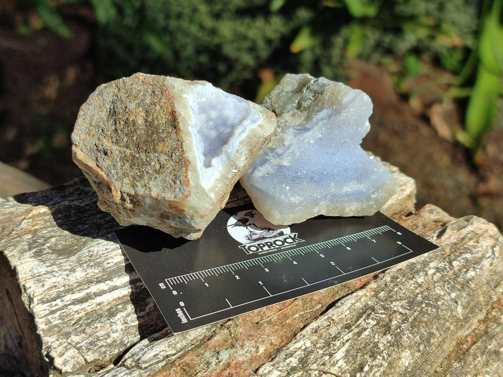 Natural Blue Lace Agate Geode Specimens x 24 From Nsanje, Malawi - Toprock Gemstones and Minerals 