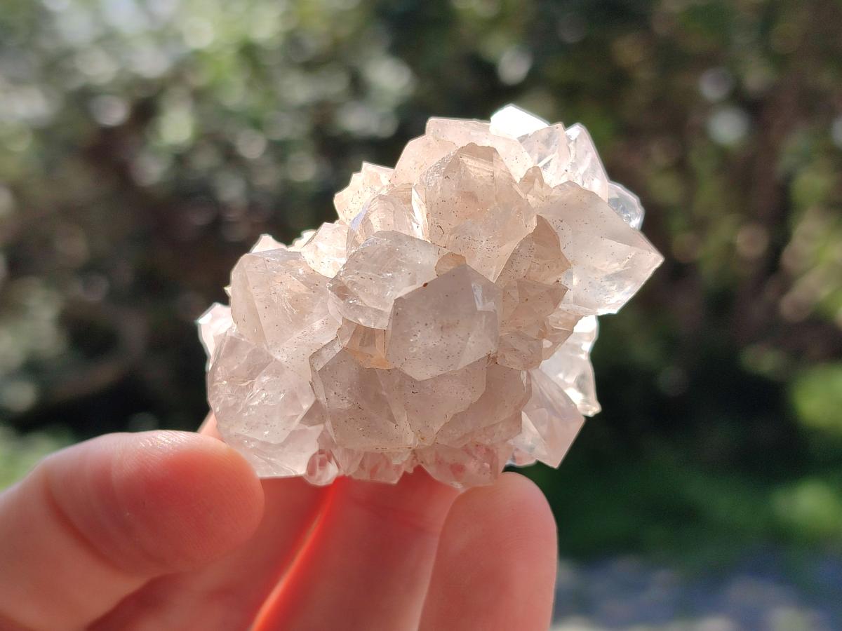 Natural White Cactus Flower Spirit Amethyst Crystals x 46 From South Africa - Toprock Gemstones and Minerals 
